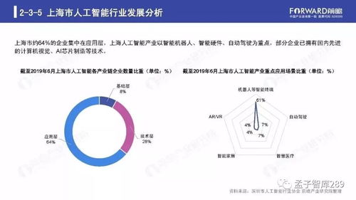 2019年人工智能行业现状与发展趋势报告 聚焦人工智能应用软件开发